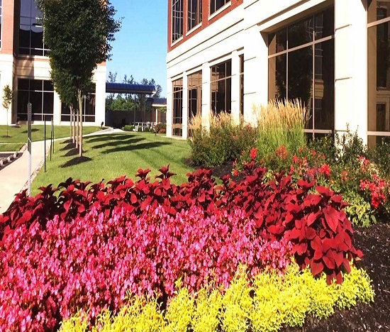 COMMERCIAL LANDSCAPING